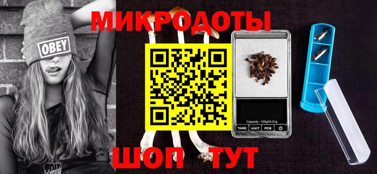 Псилоцибиновые грибы Psilocybe Майский
