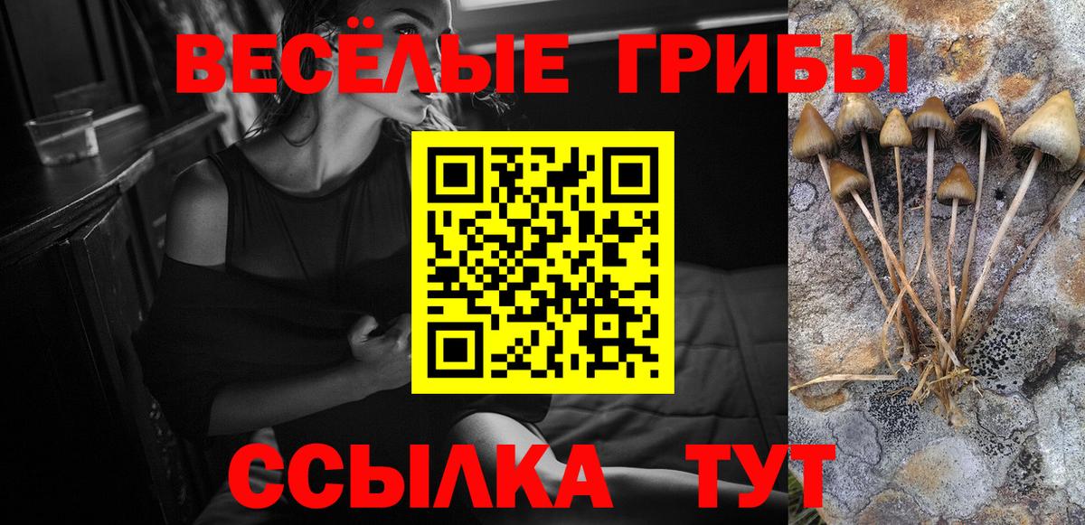 Псилоцибиновые грибы GOLDEN TEACHER  Галлюциногенные грибы прущие грибы  Майский 